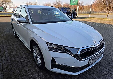 Skoda Octavia Combi 2.0 TDI 110 kW DSG Selection/Standheizung