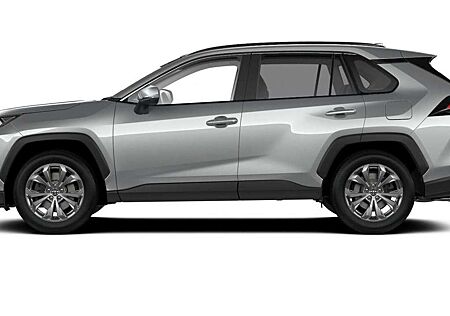 Toyota RAV 4 2.5 Hybrid 218 ECVT Team D el.HK SHZ DigC 160 k...