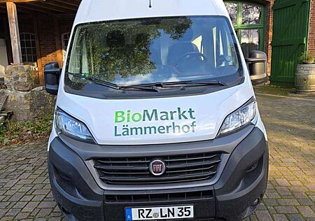 Fiat Ducato L2/H2, Frischedienst, Kühlausbau,