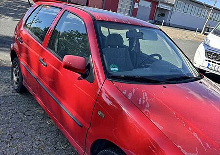VW Polo Volkswagen 75 Servo XXL
