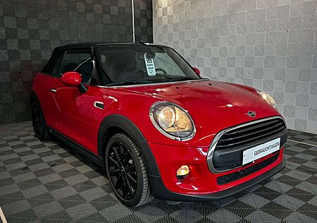 Mini ONE Cabrio *SALT*R.KAM-SHZ-DAB-TEMP-BT-KLIMA