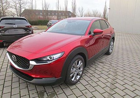 Mazda CX-30 SKYACTIV-G MildHybrid Selection DesignPaket, Matri