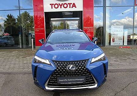 Lexus UX 300e Luxury Line