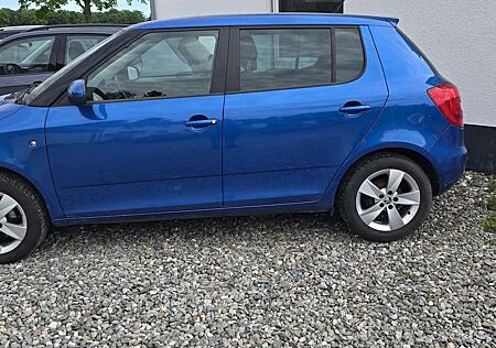 Skoda Fabia Ambition (Ambition) 1,2 TSI*8fach bereift
