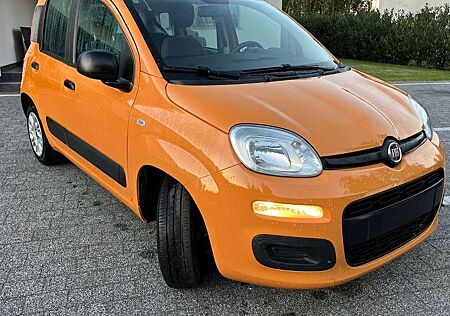 Fiat Panda Base