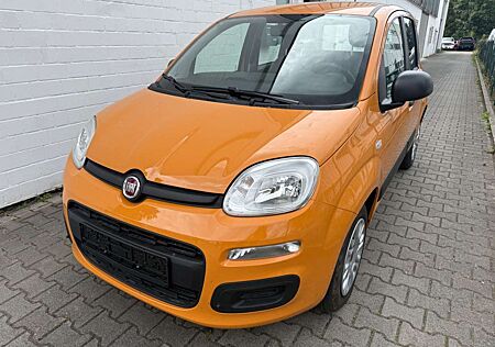 Fiat Panda Base