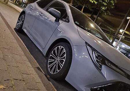 Toyota Corolla Hybrid Club