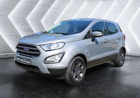 Ford EcoSport Cool & Connect - Winter-Paket