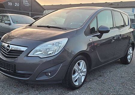 Opel Meriva Design Edition-Klima_Navi-Sitzheizung-8-fachreifen