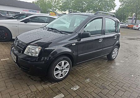 Fiat Panda Panda 1.2  TOP GEPFLEGT