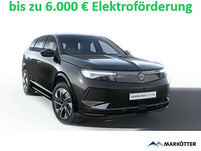 Opel Grandland Electric 157 kW Edition/ 180 CAM/Allwetterreifen/