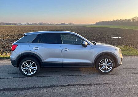 Audi Q2 1.0 TFSI ultra S tronic, Leder,AHk,scheckheft