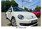 VW Beetle Volkswagen Lim. Design*1.6 TDI*Panorama*Alu*Navi*PDC