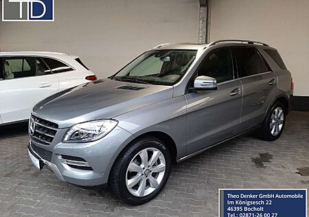 Mercedes-Benz ML 250 Bluetec 4M AHK Kamera Schiebedach Airmatic