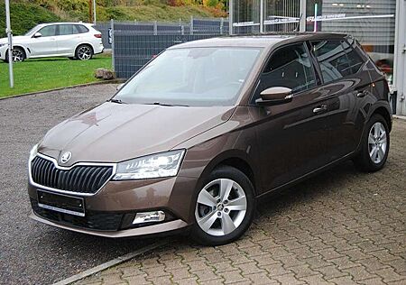 Skoda Fabia gebraucht kaufen Skoda Fabia 1.0l TSI 70kW Style.LED.App.Kamera