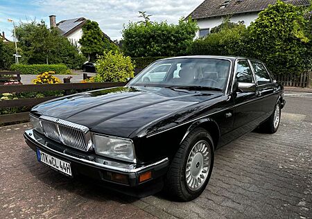 Jaguar XJ40 Daimler