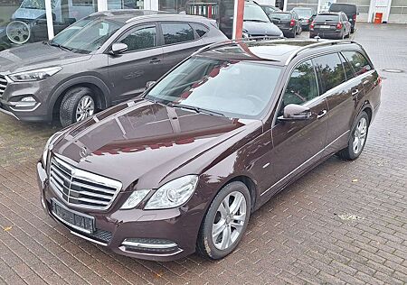 Mercedes-Benz E 200 gebraucht kaufen Mercedes-Benz E 200 CDI BE Avantagrde Standheizung Distronic