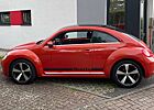 VW Beetle Volkswagen The 1.2 TSI Blue Motion Technologie