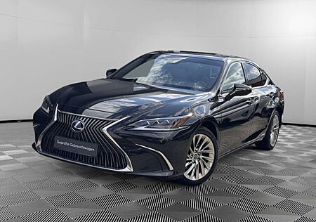 Lexus ES 300 h Luxury Line ACC HUD MATRIX-LED 360°