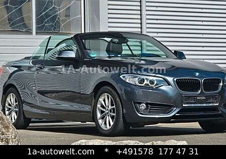 BMW 220 d Cabrio Advantage Sport Navi Shzg Klima Xen