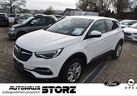 Opel Grandland Business Edition |NAVI|KAMERA|WINTER-PAKET|BEH-WIN