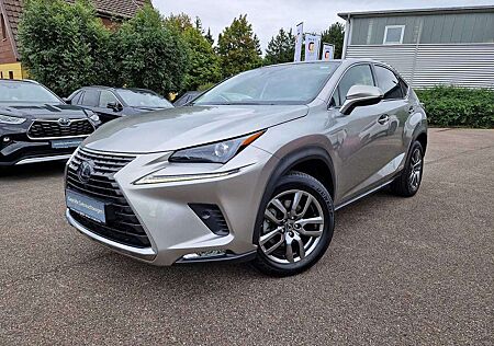 Lexus NX 300 NX 300h E-FOUR Executive Line Panodach