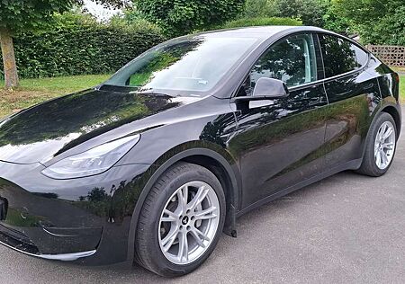 Tesla Model Y RWD