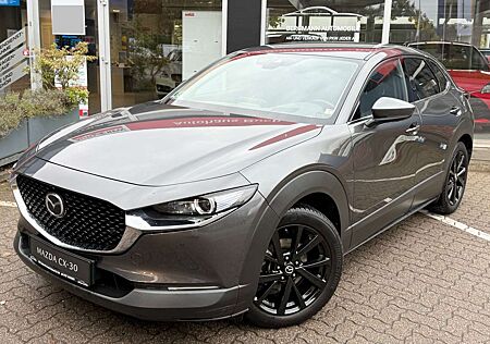 Mazda CX-30 Selection AWD BOSE Keyless LED AHK SHZ Navi Kamer