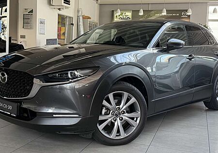 Mazda CX-30 Selection AWD BOSE Keyless LED AHK SHZ Navi Kamer