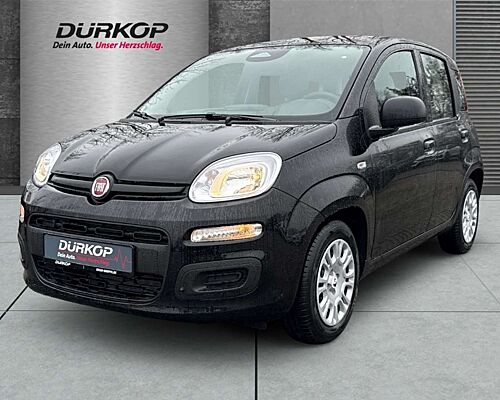 Fiat New Panda Icon Hybrid Klimaanlage Parkpilot hinten Bluetooth