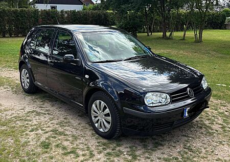VW Golf Volkswagen 1.6 Automatik