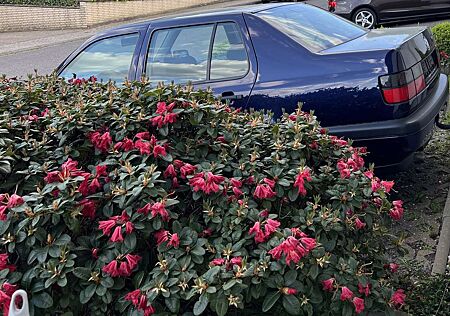 VW Vento Volkswagen 1.8 GL 100 ((KEINE FRECHEN ANGEBOTE !!! )