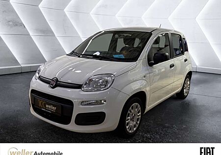 Fiat Panda 1.2 ''Easy'' Klima CD-Mp3 Zentralverriegelung Kopf