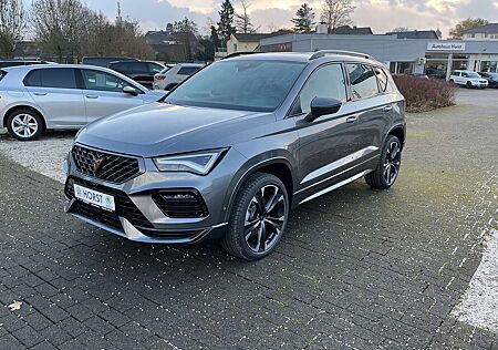 Cupra Ateca AHK Navi Rückfahrkamera LED