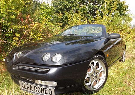 Alfa Romeo Spider 916 T.Spark viel Fahrspaß für wenig Geld!