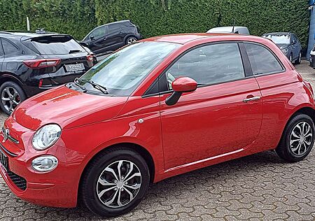 Fiat 500 1.0 Pop Hybrid-Klima-Navi-Designpaket weiß-DAB
