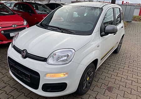 Fiat Panda 1.2 My