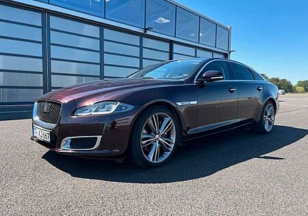 Jaguar XJ Autobiography 3.0 V6 Kompr. AWD Langversion