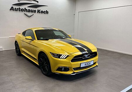 Ford Mustang 2.3 ECOBOOST - 50 YEARS MIT SHELBY LOOK!