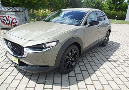 Mazda CX-30 e-SKYACTIV-G 150PS Homura Sitzheizung, Rückfahrkam