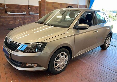 Skoda Fabia 1.0 TSI Ambition DSG SITZHZG+PDC+KLIMAAUTO