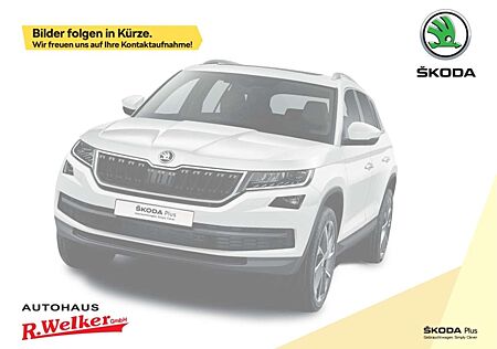 Skoda Kodiaq Selection 2.0 TDI 142kW 4x4 ''AHK''Matrix-LED''Nav