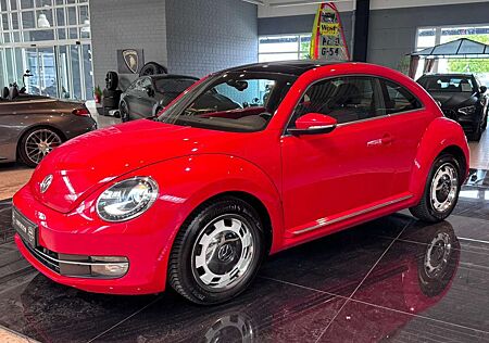 VW Beetle Volkswagen Lim. Design LED/BiXenon Pano Tempo PDC