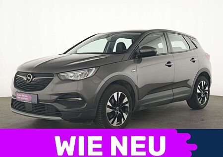 Opel Grandland Elegance Ergonomiesitz|Navi|Kamera|LED