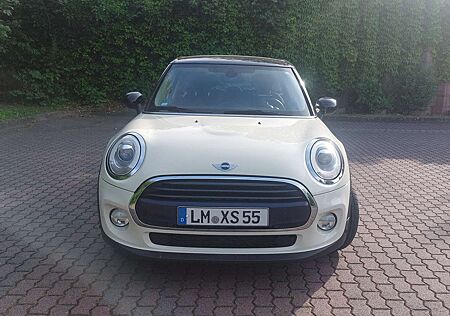 Mini Cooper Seven Chili