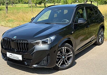 BMW X1 23 d xDrive M Sport LED Kamera Memory AHK 19"