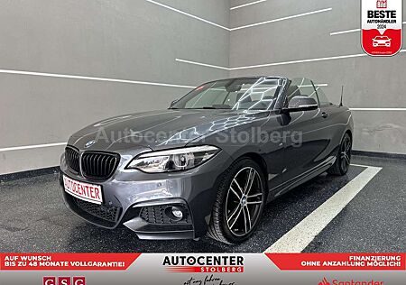 BMW 220 i M Sport "NAVI-LEDER-SITZH-MULTI-ALU"