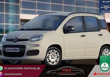 Fiat Panda Lounge
