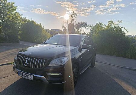 Mercedes-Benz ML 250 BlueTEC 4MATIC Euro 6