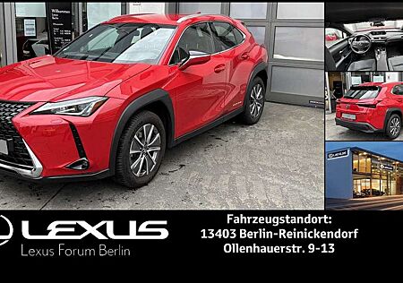 Lexus UX 300h UX 300e UX300e Komfort Plus *Allwetterreifen*
